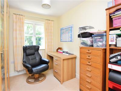 Picture 23